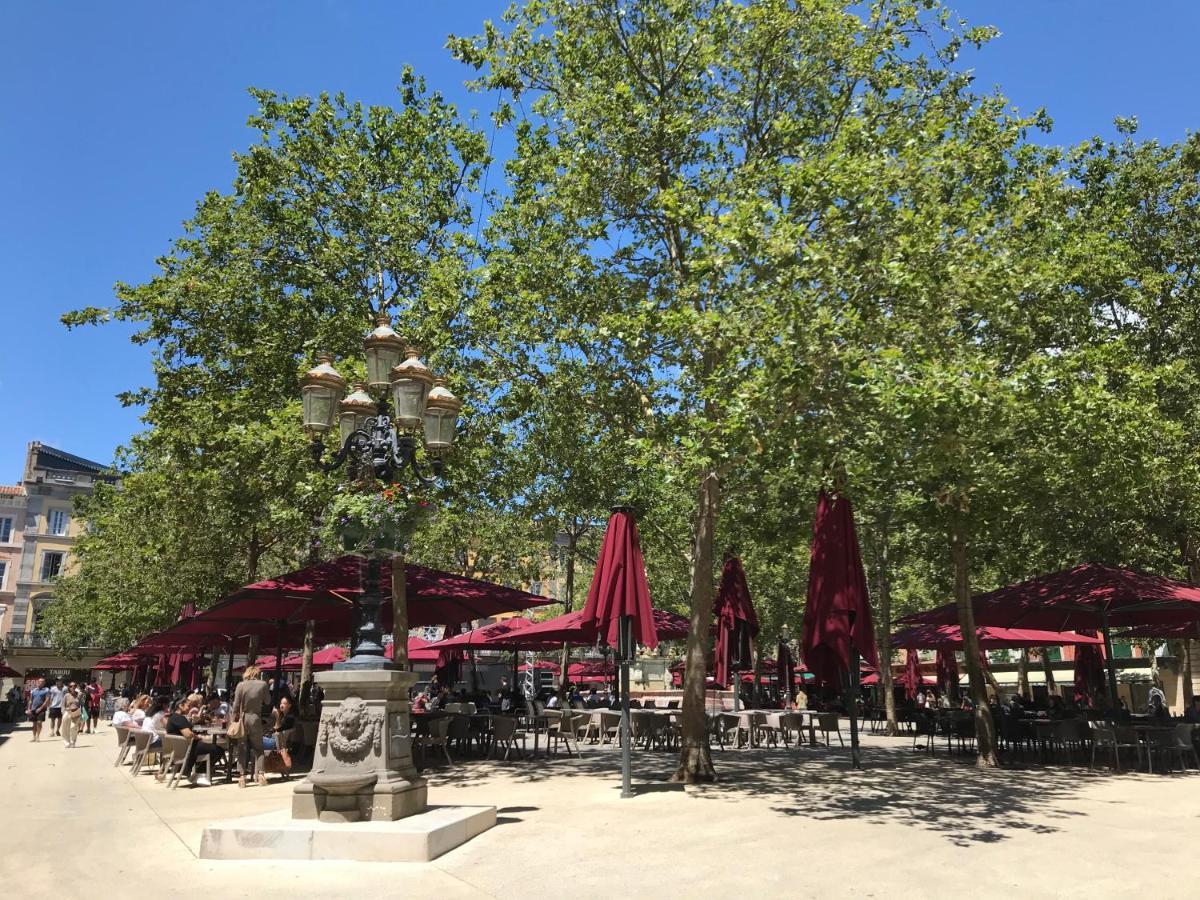 مبيت وإفطار بالاجا La Rosela De La Cite المظهر الخارجي الصورة
